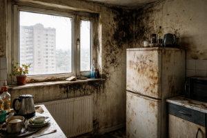 repair cafe fixing broken appliances